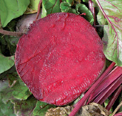 detroit-dark-red-lark-seed