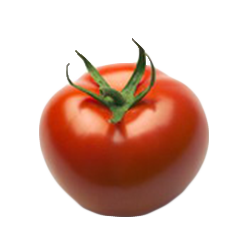tomat-logure4